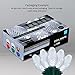 Wintergreen Lighting C7 Cool White LED Christmas Lights, 17 ft String Light Set with 25 Bulbs – Indoor/Outdoor Holiday Decor