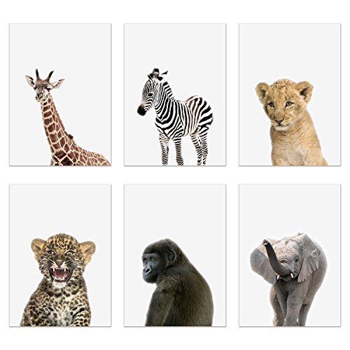 Crystal Baby Safari Animals Poster Prints - Set of 6 (5x7) Adorable
Furry African Portraits Wall Art Nursery Decor - Gorilla - Elephant -
Zebra - Giraffe - Leopard - Lion