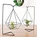 Mkono Air Plant Stand Holder Metal Airplant Tillandsia Hanger Tabletop Planter