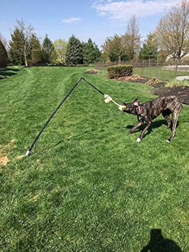 Tether Tug Big Ultimate Dog Toy for Big, Strong Dogs Who Love to