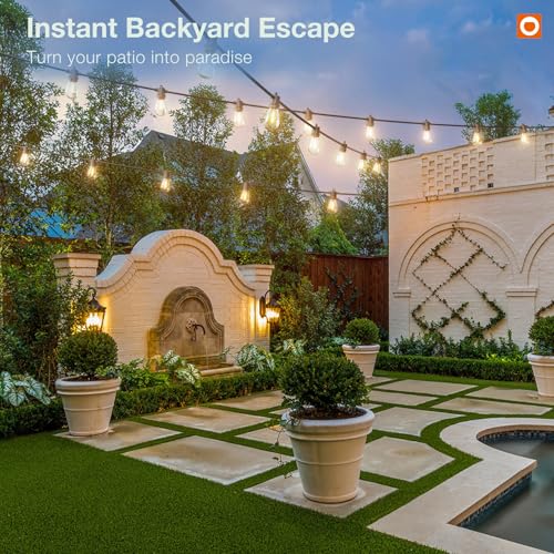 addlon 100FT Outdoor String Lights LED with Remote Dimmable Waterproof | Timer & 3 Lighting Modes, Shatterproof Edison Bulbs, Connectable Hanging Strand for Patio Outside Backyard Porch Party Décor