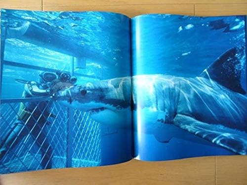 Amazon 洋書サメの写真集 鮫 ジョーズ 大型本 おもちゃ ホビー