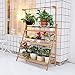 Bamboo Hanging Plant Stand 3 Tier Ladder Flower Rack for Garden Hanging Baskets Succulent Planters (100x40x96cm)thumb 1