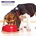 Wellness Petite Entrees Casserole Grain Free Natural Wet Small Breed Dog Food, Tender Chicken, Green Beans & Carrots, 3-Ounce Cup (Pack of 24)