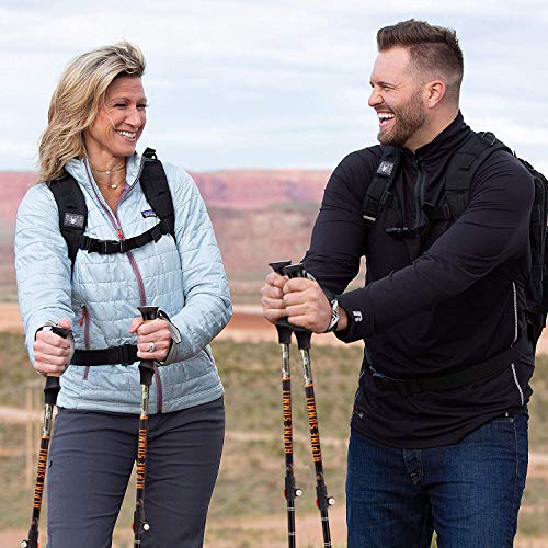 alpine summit trekking pole