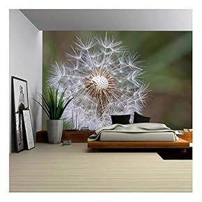 Dandelion in Nature with Blurry Background - Removable Wall Mural | Self-Adhesive Large Wallpaper - 66x96 inches