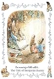 Beatrix Potter Benjamin Bunny Art Print Poster - 13x19