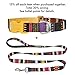 Friends Forever Dog Collar with Pattern Design Nylon Adjustable (Medium, Tribal Orange)