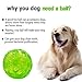 ACEONE Dog Squeaky Ball, Pet Squeak Chew Bouncy Rubber Toy Balls for Small Medium Dogs Indestructible Exercise Training Playing (3 Balls)