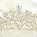 Yean Wedding Crown Bridal Tiaras with Earrings Headband for Women and Girls (Gold)