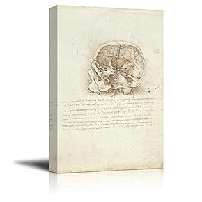 Anatomical Studies View of a Skull by Leonardo...