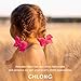 CHLONG 30pcs 4 Inches Grosgrain Ribbon Hair Bow Clips Set for Girls Toddlers Kids Teens 15 Color (4inch-30pcs)