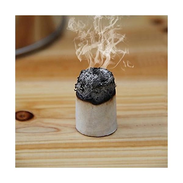 Blu7ive-54-Grains-Beekeeping-Tool-Chinese-Herb-Bee-Hive-Smoker-Solid-Fuel