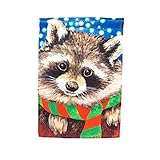 Raccoon Scarf Garden Flag