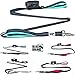 Black Rhino Heavy Duty Dog Leash for Medium and Large Dogs - 6 ft Long Double Handle Leash with Padded Traffic Control Handles and Bag for Comfort - Reflective, Durable, and Weather Resistant (Aqua)