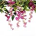 Felice Arts 2 Pcs Artificial Flowers 6.6ft/piece Silk Wisteria Ivy Vine Green Leaf Hanging Vine Garland for Wedding Party Home Garden Wall Decoration (Rose Red)