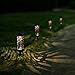 LightStan Solar Garden Pathway Lights, Outdoor Landscape Path Lights - 1 LED Lamp, Wireless, Waterproof Night Decoration Kit (6 Pack)