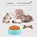 BOCHO Plastic Dog Bowls，Food Dishes & Water Bowl for Dogs, Cats or Other Small Animals - 3 Color Set