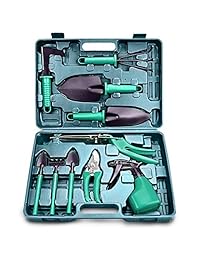 Qingsheng Juego de herramientas de jardín jardinería regalos Juego de herramientas, 10 Piezas, Azul