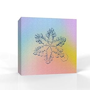 wall26 - Canvas Wall Art - Snowflake Theme...
