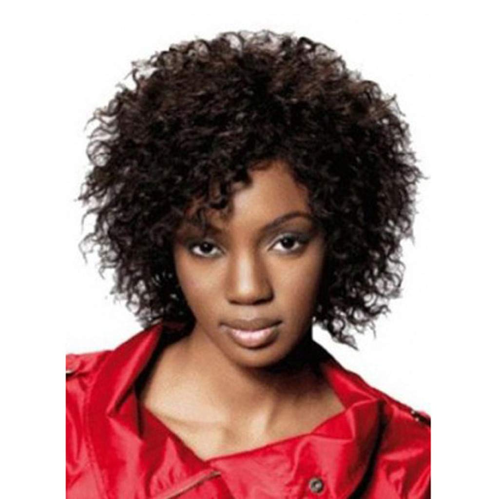 Amazon Com Black Short Curly Hair Curls Wigs For Women