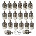 HIFROM Fuel Filter for Walbro 125-527 Echo 131-205-07320 Robin 3112 Shindaiwa T230 T231 Stihl FC75 FS85 String Trimmer/Edger/Backpack Blower (20) primary