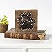 Primitives by Kathy 30463 String Art Box Sign, Paws, 6.00