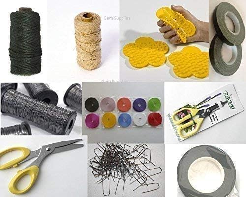 PROFESSIONAL FLORIST STARTER KIT. Includes 2 Oasis Scissors, Foliage Stripper, Mossing Pins, Pot Tape, Plus 10 Rolls x 25m Curling Ribbon GEM-FSK01