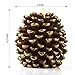 Luminara LED Flameless Candle, Flameless Real Pine Cone LED Candles for Home/Party/Halloween/Christmas/Wedding Decor with Timer Control, Battery Operated 3
