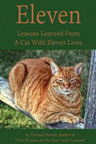 Eleven: Eleven Lessons My Cat Taught Me (The Best Lesson My Family Taught Me)