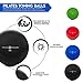 Fitness Republic Pilates Weighted Ball | Small Fitness Toning Ball for Workout | Flexible Anti-Burst Fitness Toning Ball for Pilates Exercises and Physical Therapy