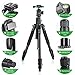 Video Tripod with Fluid Head, Heavy Duty Aluminum Alloy, Max Height 74 in, Max Load 220 lb, Compatible with Manfrotto, Canon, Nikon, Sony DSLR Camera Camcorder