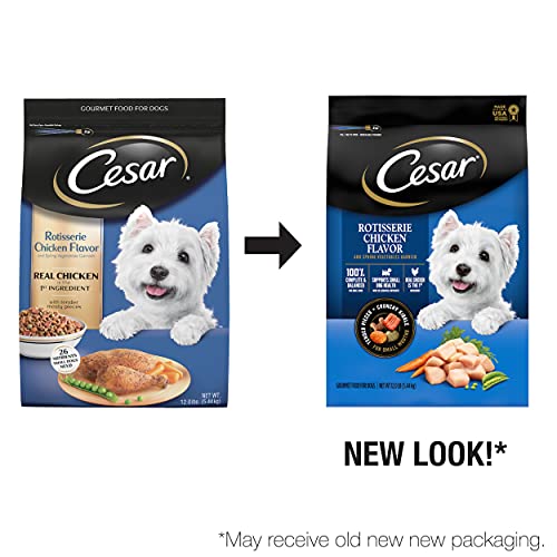 CESAR Small Breed Dry Dog Food Rotisserie Chicken Flavor with Spring Vegetables Garnish Dog