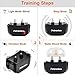 Dog Shock Collars for 2 Dogs With Remote, Rechargeable Dog Training Collar With Vibration Shock Beep Modes, Waterproof Ecollar Dog Training Collar With 1000ft Range, Shock Collar For Small, Large Dogs