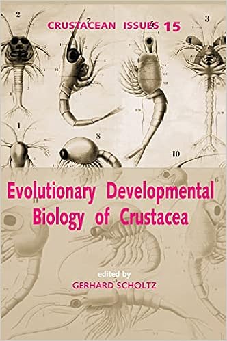 Evolutionary Developmental Biology Of Crustacea Advances In Crustacean Research Scholtz Gerhard Amazon Com Books