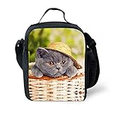 STARTERY Cat Addict Cute Kitten Kid's Daycare