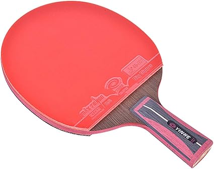raquette de ping pong amazon
