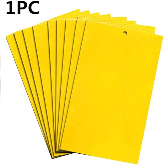 Papel adhesivo para moscas de doble cara, trampas adhesivas ...