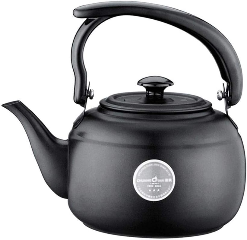 GYJRJ Electric Kettle for Tea and Coffee Outdoor Camping Kettle