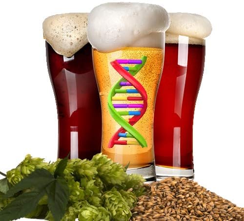 Austin Homebrew Clone Recipe Allagash Grand Cru (19C) - ALL GRAIN