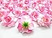 (24) Silk Two-tone Light Pink Roses Flower Head - 1.75