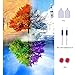Crafts Graphy Paint with Diamonds Kits for Adults Full Drill - Season Trees, Large Size 16 x 20 Inches