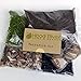 Premium Kit for Small Terrarium (Succulent, Cactus, and Fairy Garden)