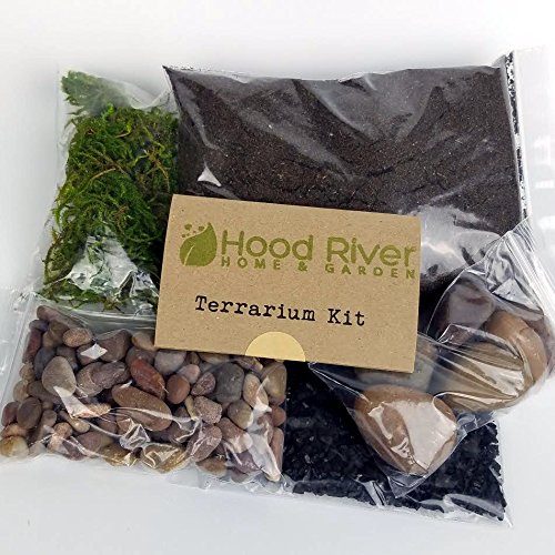 Premium Kit for Small Terrarium (Succulent, Cactus, and Fairy Garden)