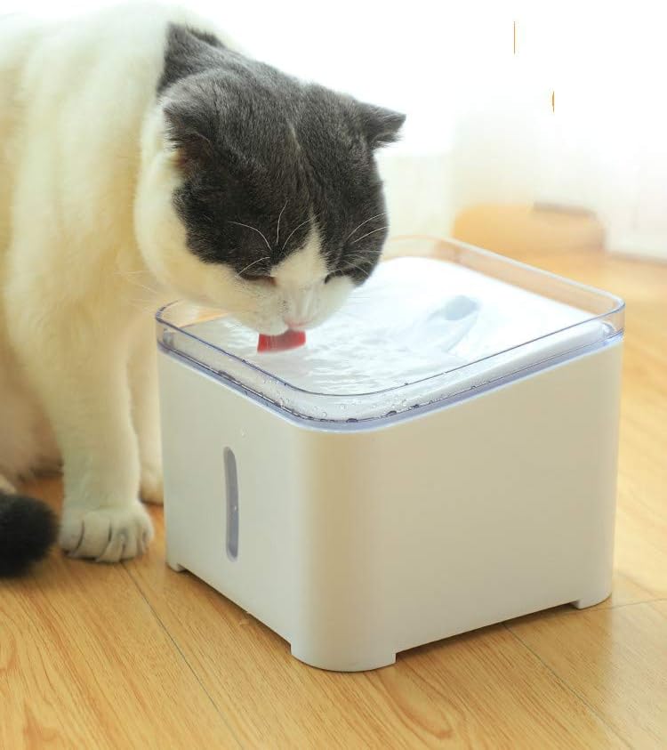 STAC Cat water dispenser automatic cycle feeding water silent live water flow pet drink water