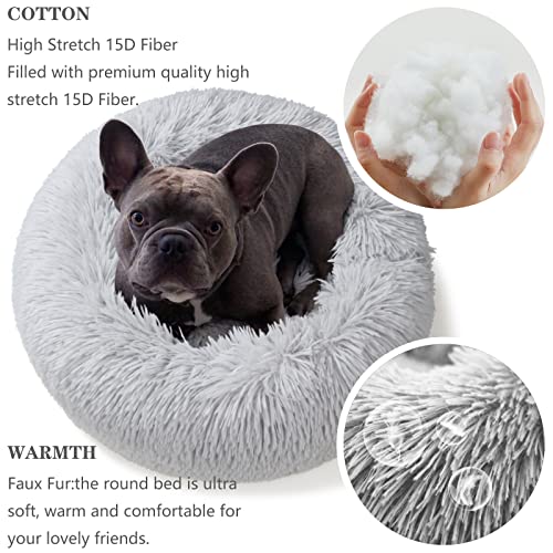 extra small dog beds