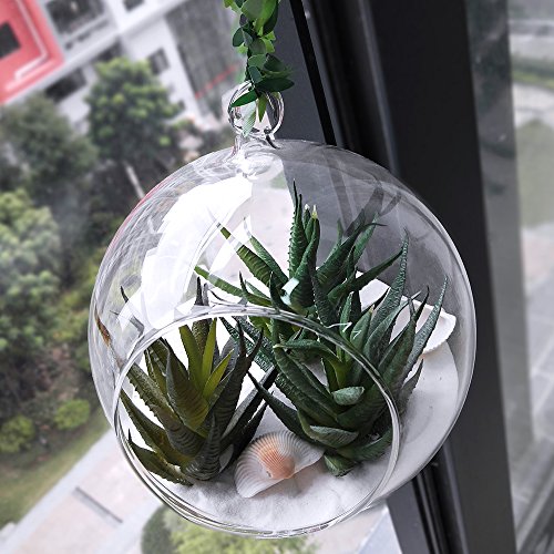 image for Winlyn 3 Pcs Textured Faux Succulent Pick in different Green, Artifici