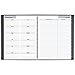 DayMinder Academic Year Monthly Planner, July 2016 - June 2017, 8-1/2