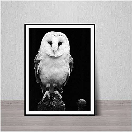 Barn Owl Photo Art Black and White Bird Fine Woodland Art Wildlife Birds Poster Decor - 50x70 cm Without Frame