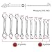 SPEEDWOX Mini SAE Wrench Set, 10-Piece, Open/Box End, Made of High Carbon Steel, Heat Treated for Strength and Durability